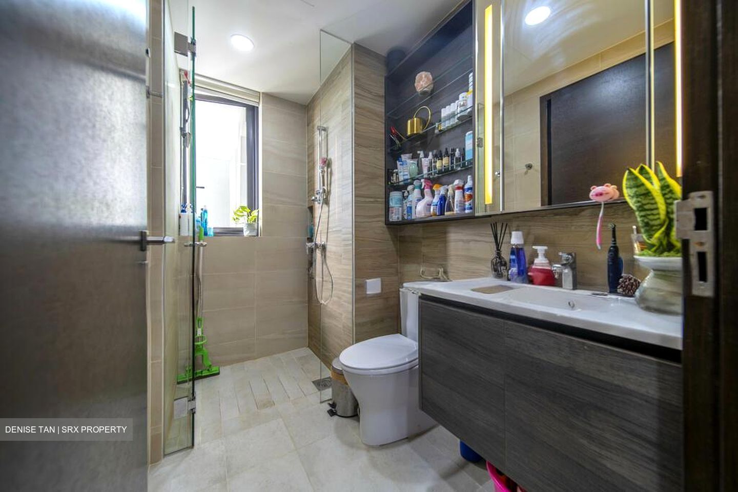 Sims Urban Oasis (D14), Condominium #500321641